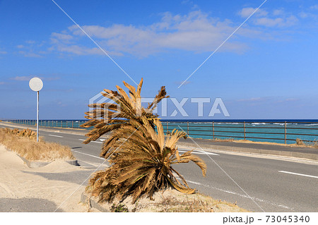 奄美大島北部_安木場集落付近 73045340