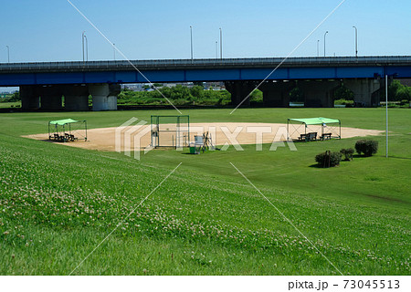 クローバーの花の咲く河川敷の土手 73045513