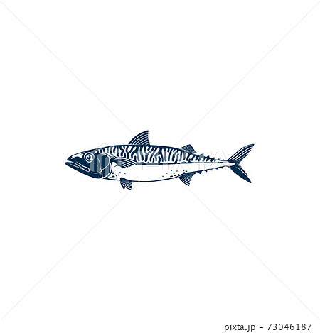 Pelagic fish, Short indian mackerel isolated icon 73046187