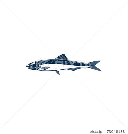 Small shoaling fish anchovy isolated Anchoa icon 73046188