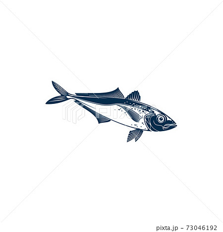 Bluefish mascot isolated mackerel tuna fish icon 73046192