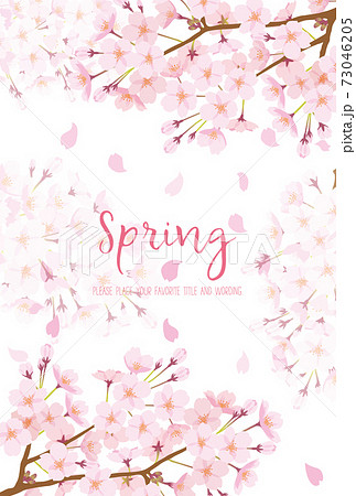 満開の桜の神秘的な背景素材のイラスト素材