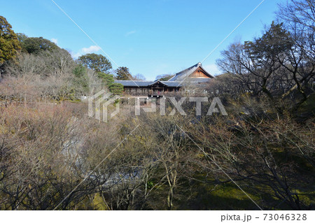 東福寺、通天橋と本堂 73046328