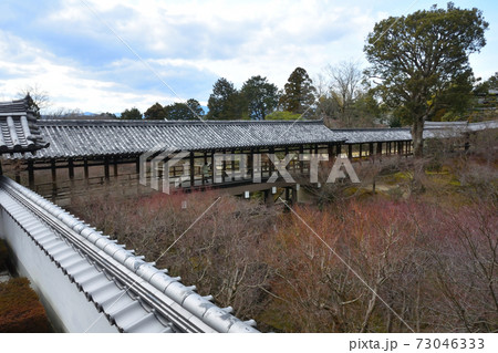東福寺、通天橋 73046333