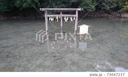 時雨の和多都美神社 磯良恵比寿(鱗状の磐座) 時雨の和多都美神社 磯良恵比寿(鱗状の磐座) 73047237