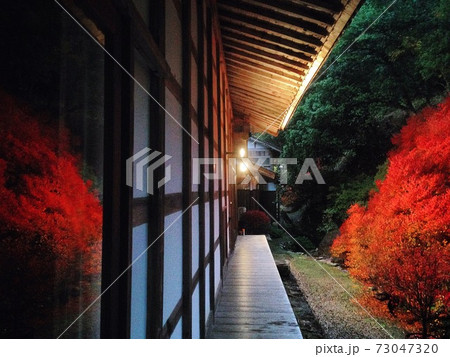 安国寺のドウダンツツジ 安国寺のドウダンツツジ 73047320