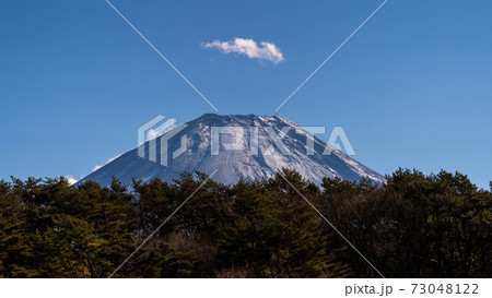 樹海に囲まれた富士山 樹海に囲まれた富士山 73048122