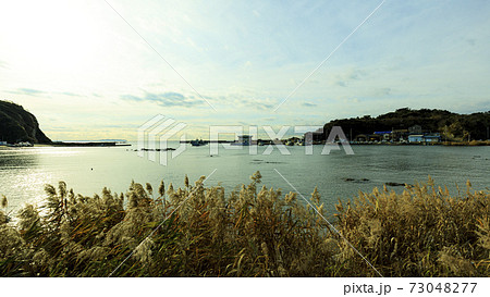 湘南三浦半島の神奈川県三浦市毘沙門港の冬 73048277