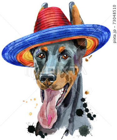 Watercolor portrait doberman in mexican wide brim hat 73048510