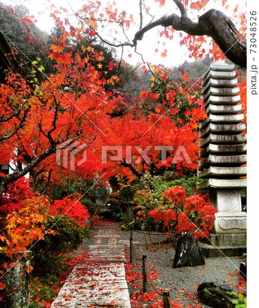 清林寺 清林寺 73048526