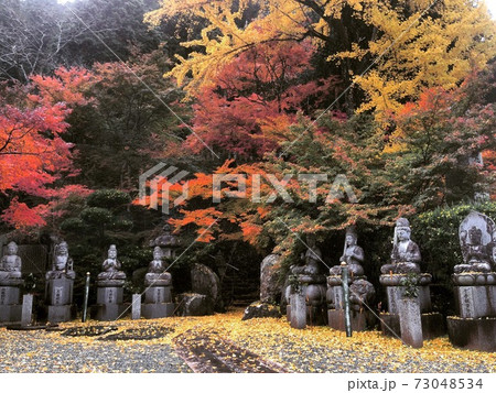 清林寺 清林寺 73048534