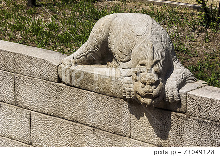 獣 ヘテ 静物 73049128