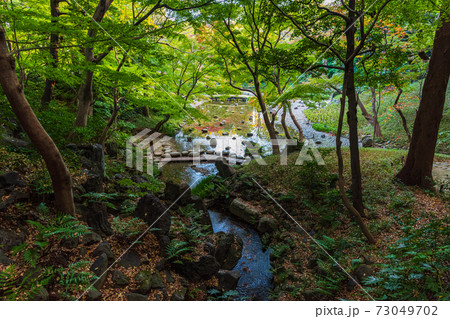 東京散歩、都内庭園巡りー特別史跡、特別名勝　小石川後楽園 73049702