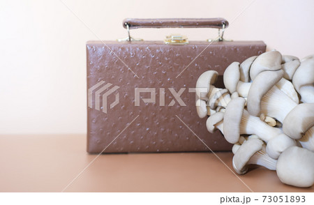 bag made of mycelium leather, bio based alternative to leather bag made of mycelium leather, bio based alternative to leather 73051893