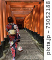 京都・伏見稲荷の千本鳥居 73052188