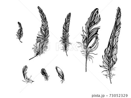 アンティーク風のリアル羽根のイラスト素材