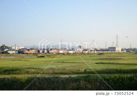早朝の四日市市内を走るコンテナ貨物列車 73052524