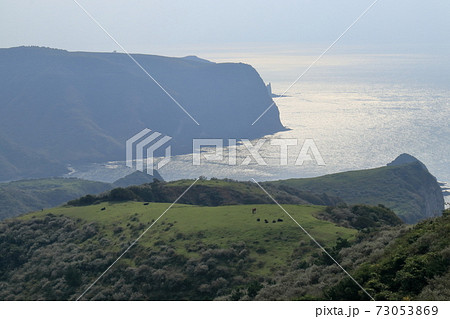 赤尾展望台から見る国賀海岸 73053869