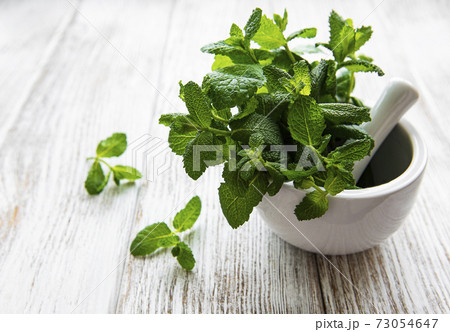 Fresh green mint in mortar Fresh green mint in mortar 73054647