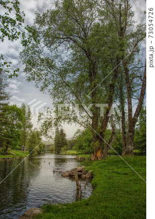 A river in the park with ducks A river in the park with ducks 73054726
