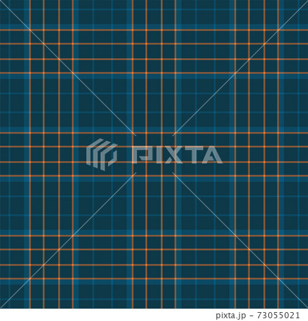 Plaid seamless pattern. Vector background of textile ornament. Flat fabric design. Plaid seamless pattern. Vector background of textile ornament. Flat fabric design. 73055021