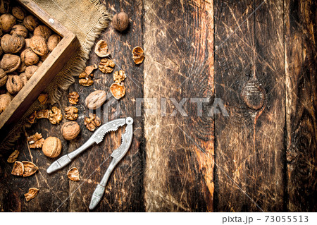Walnuts in the box with the Nutcracker. 73055513