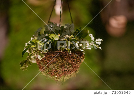 Floral arrangement hanging on a wedding decoration at night 73055649