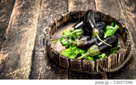 Eggplants in an old wooden tray. 73057306