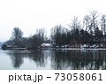 樹木 風景 木 73058061