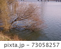 川 河 木 73058257