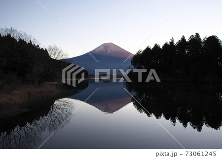 田貫湖からの早朝の富士山 73061245