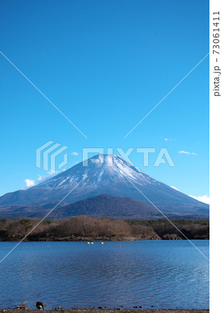 精進湖からの富士山 精進湖からの富士山 73061411