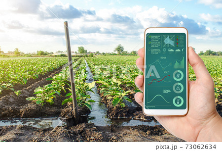Phone with infographics and a farm field plantation background. Innovative technologies in the agroindustry and food production. Process of crop maturation. The Internet of Things in Agriculture 73062634