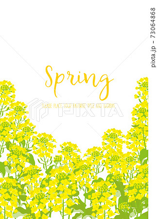 春の菜の花イラストの背景素材のイラスト素材