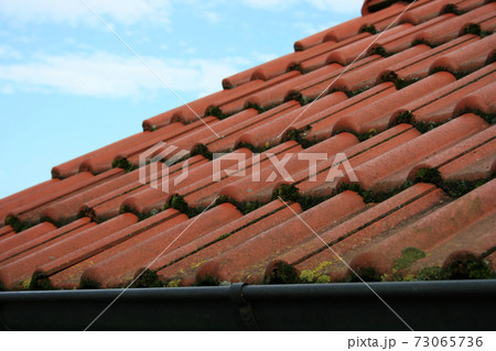 roof tiles roof tiles 73065736