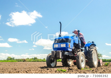 A farmer drives a tractor on a farm field. Bottom view. Loosening surface, land cultivation. Farming, agriculture. Use of agricultural machinery and to simplify and speed up work. Plowing field. 73066392