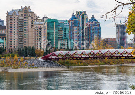 Prince's Island Park Peace bridge. Autumn foliage scenery in downtown Calgary Bow river bank, Alberta, Canada. Prince's Island Park Peace bridge. Autumn foliage scenery in downtown Calgary Bow river bank, Alberta, Canada. 73066618