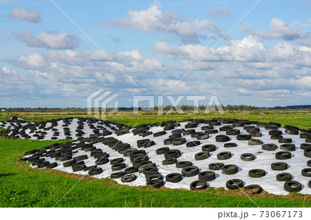 large pile of silage on field covered with plastic film and used tires large pile of silage on field covered with plastic film and used tires 73067173