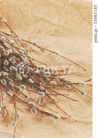A bouquet of willow seals lies on old kraft paper, in retro style A bouquet of willow seals lies on old kraft paper, in retro style 73067185
