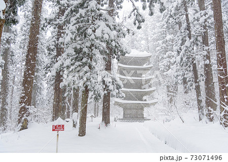 冬の羽黒山五重塔 冬の羽黒山五重塔 73071496