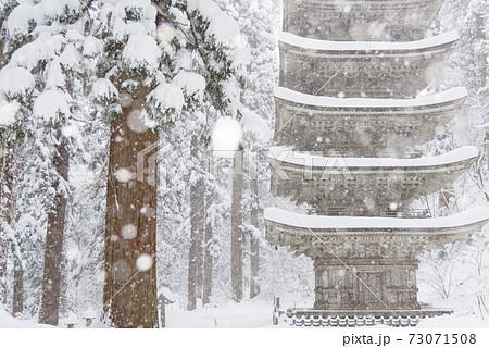 冬の羽黒山五重塔 73071508
