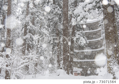 冬の羽黒山五重塔 73071564