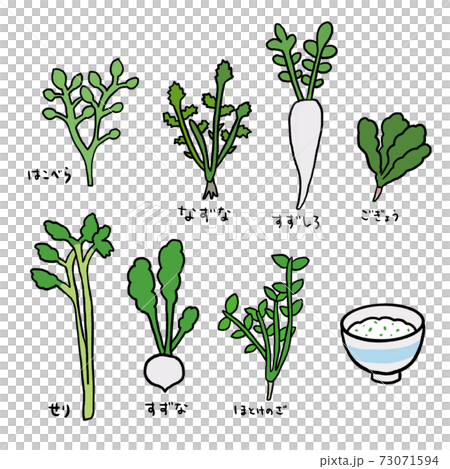 Seven herbs illustration Seven herbs illustration 73071594