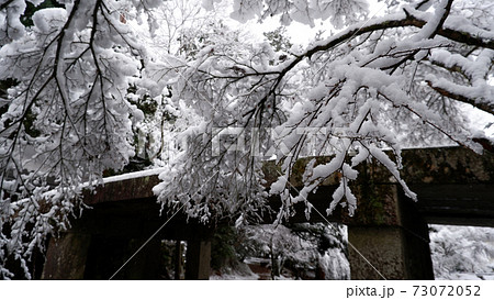 雪の日吉大社　走井橋 73072052