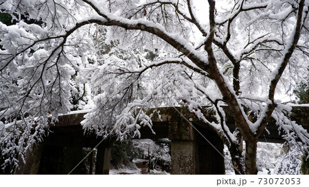 雪の日吉大社　走井橋 73072053