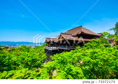 新緑の清水寺 73072174