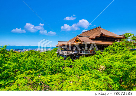 新緑の清水寺 73072238