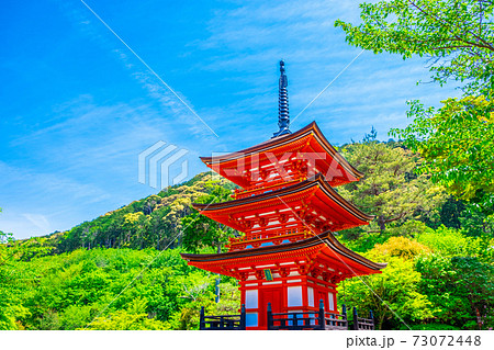 新緑の清水寺の子安塔 73072448