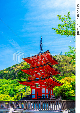 新緑の清水寺の子安塔 73072449