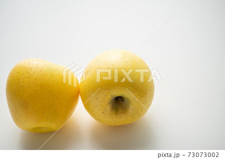 秋の味覚林檎 73073002